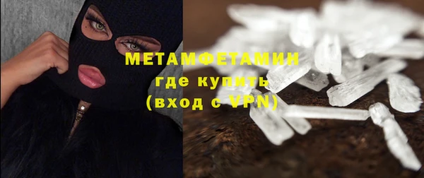 прущие грибы Беломорск