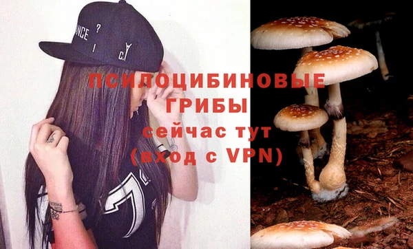mix Белокуриха