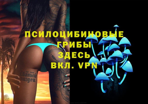 прущие грибы Беломорск